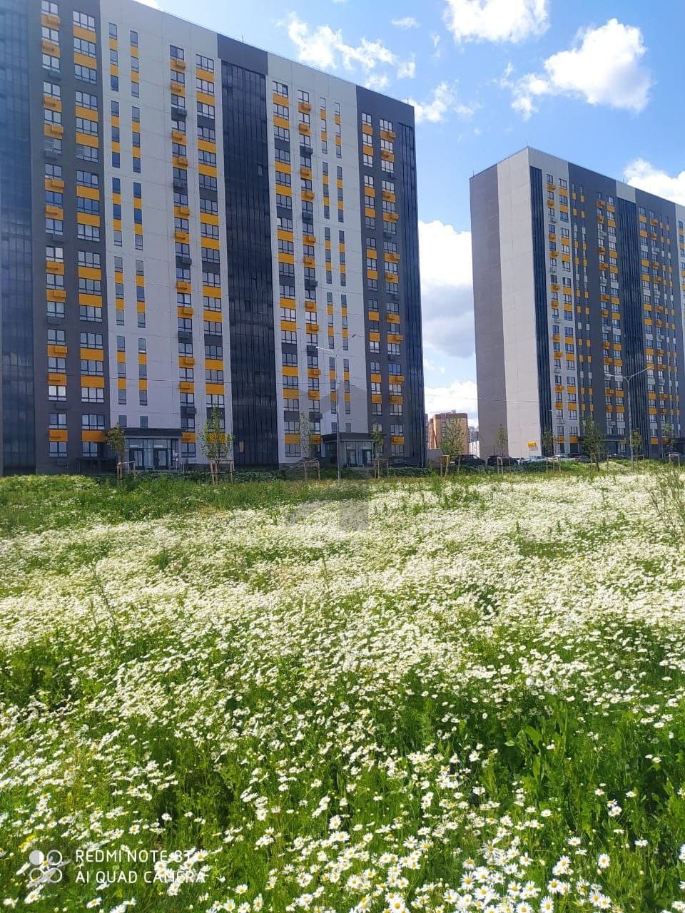 Фото объявления 6