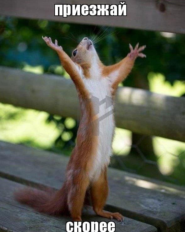 Фото объявления 15