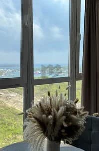 Фото объявления 5